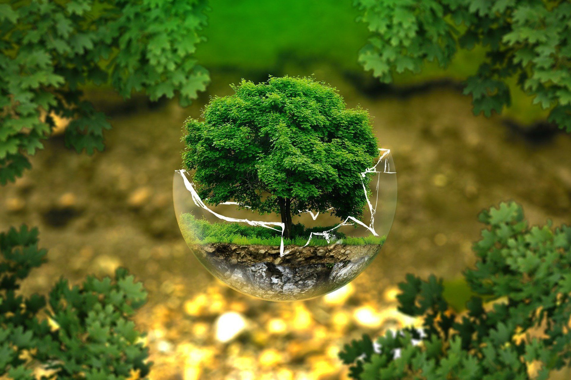 Baum in einer Glaskugel