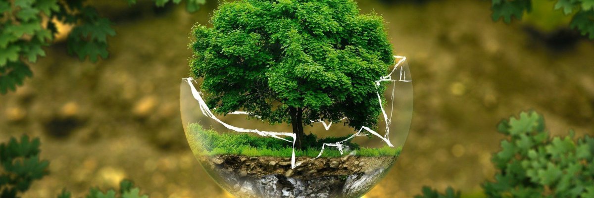 Baum in einer Glaskugel