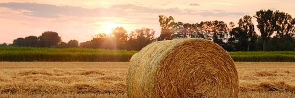 Ein heuballen auf einem Feld