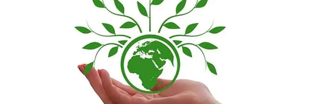 Eine hand mit einer grünen Weltkugel