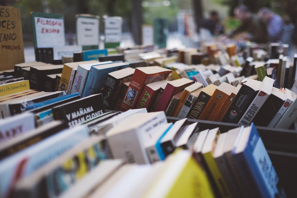verschiedene Bücher hintereinander aufgestellt