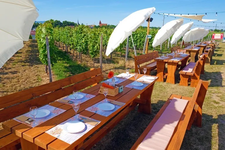 Fest im Weinberg Ein gedeckter Tisch mittten in den Weinbergen mit Sonnenschirmen