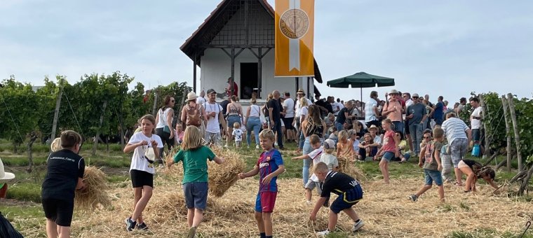 Weinbergshäuschen Wanderung Weinbergshäuschen Wanderung