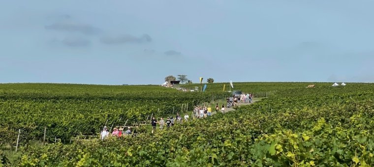 Weinbergshäuschen Wanderung