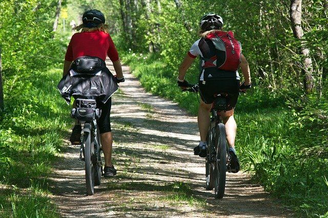 2 Personen fahren Fahrrad auf einem Waldweg voller grüner Bäume und Sonne