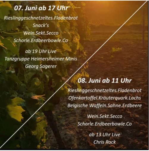 Hoffest 2025 Programm Flyer von Wein.Musik.Hof
