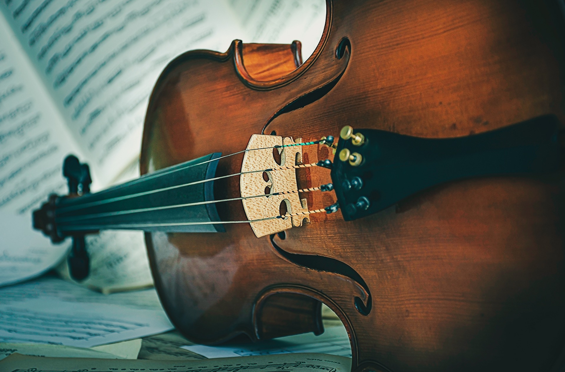Violine Eine Violine