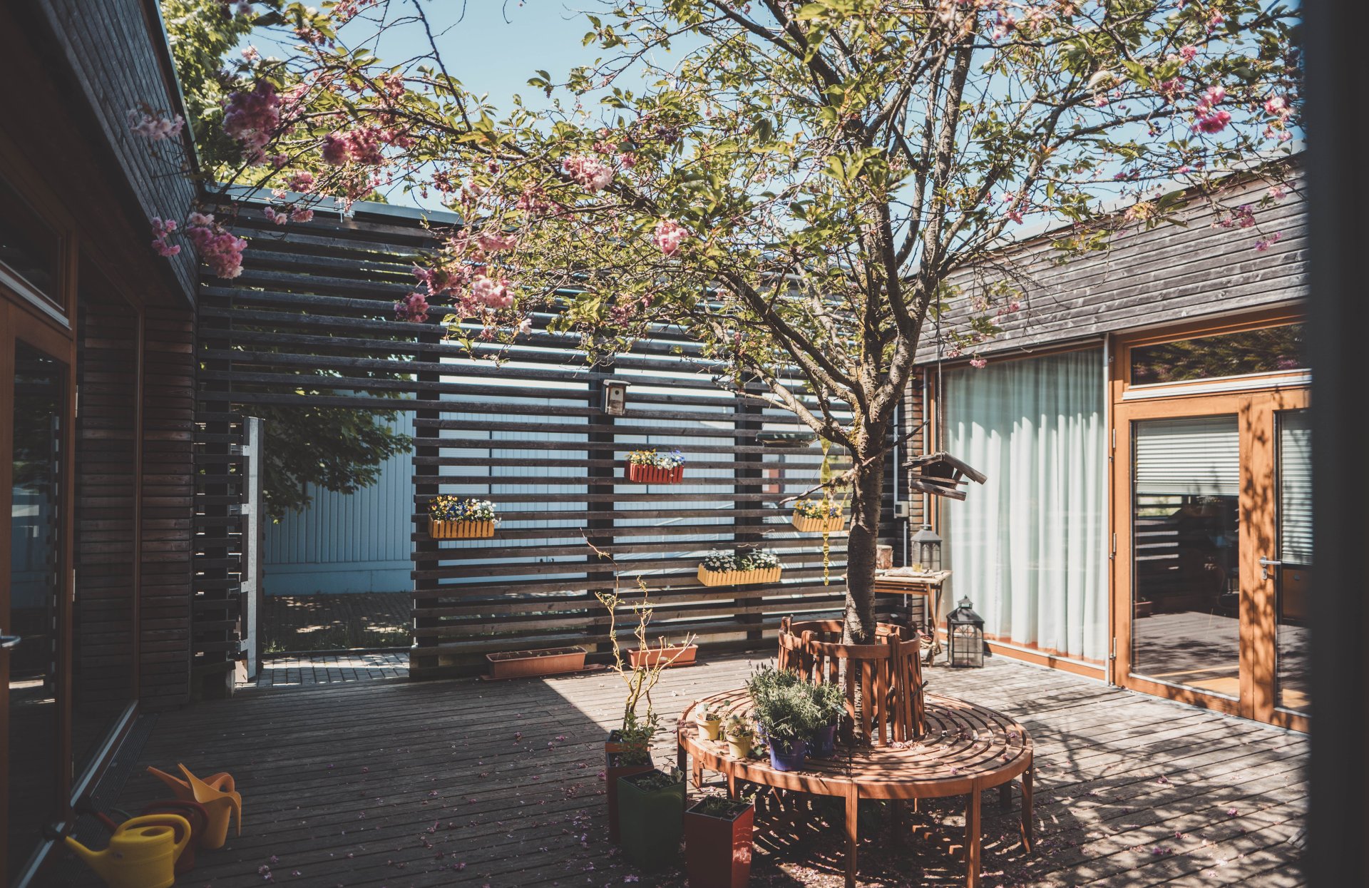 Kita Hanni Kipp ein Raum ohne Dach voller Blumen mit der Sonne