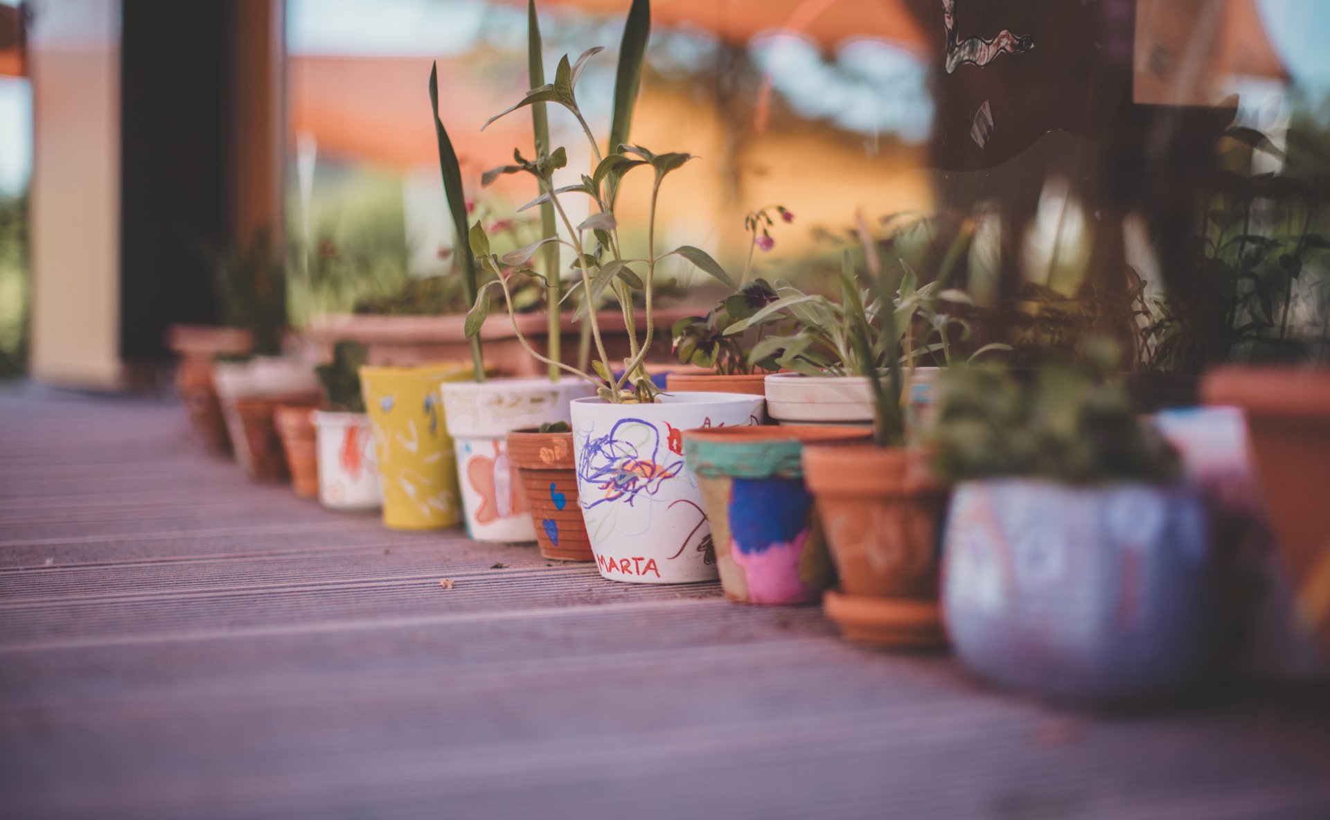 Kita Haus der Klänge Vor einem Fenster stehen einige von Kindern selbst bemalte Blumentöpfe mit Pflanzen darin. Manche tragen Motive wie einen Schmetterling oder auch Namen.