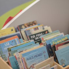 Sachbuch- und Familienbereich