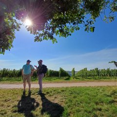 Wanderer in den Weinbergen