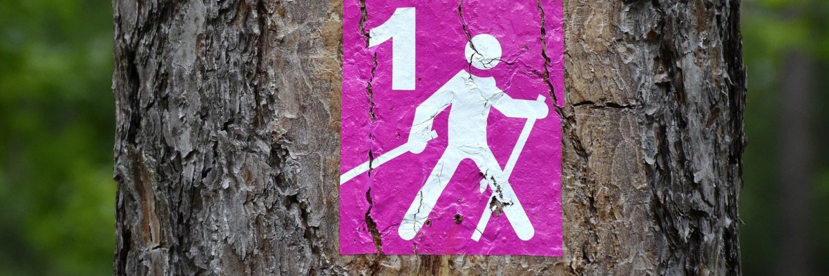 Nordic Walking Abbildung auf einem Baum