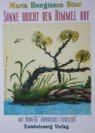 "Sonne bricht den Himmel auf"