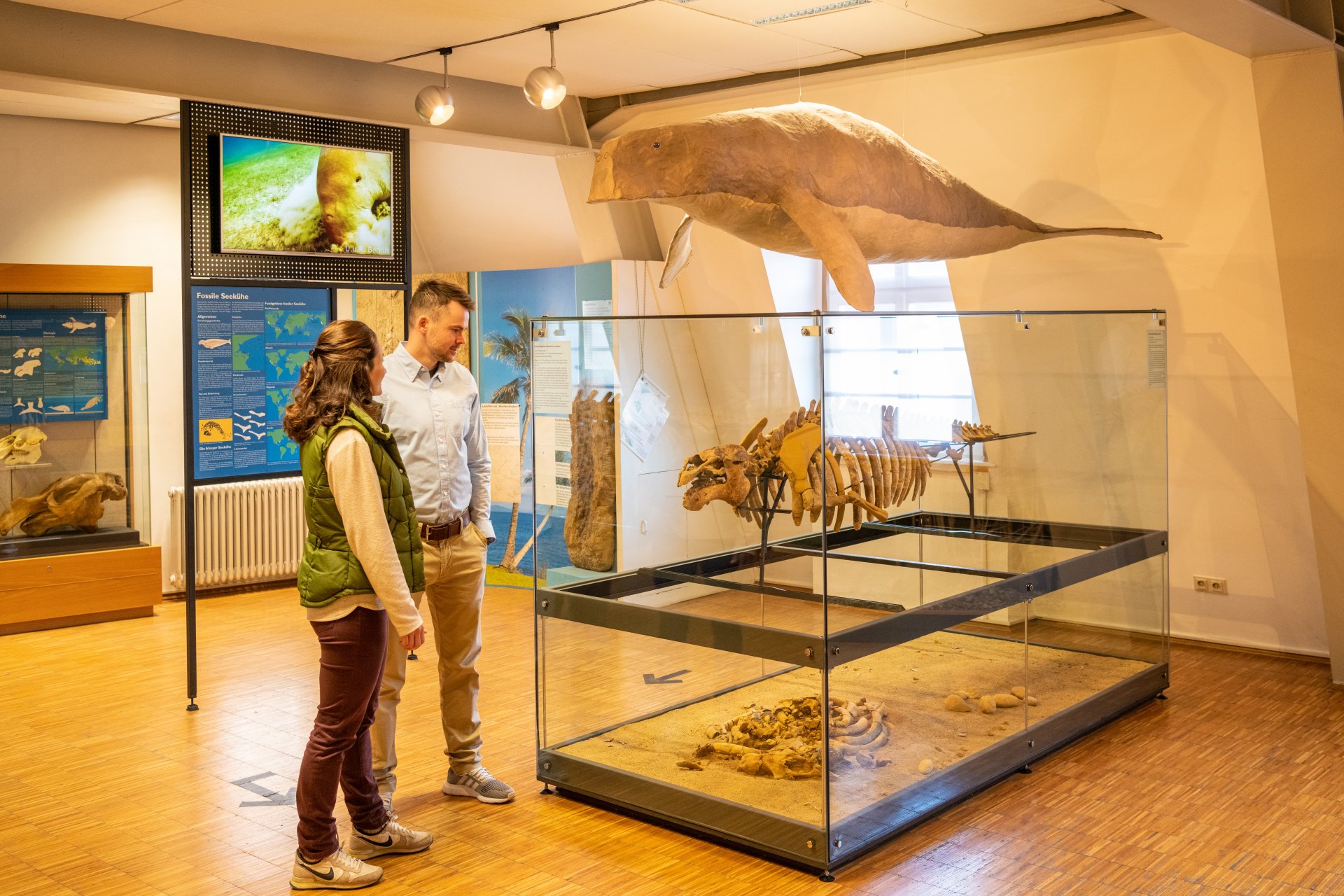Besucher im Alzeyer Museum, die sich Knochen und Ausstellungen anschauen.