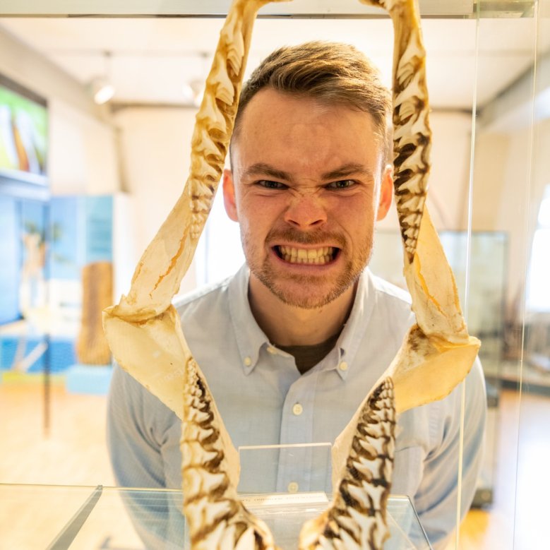 Ein Mann, der seinen Kopf durch ein Hai-Gebiss im Alzeyer Museum steckt.