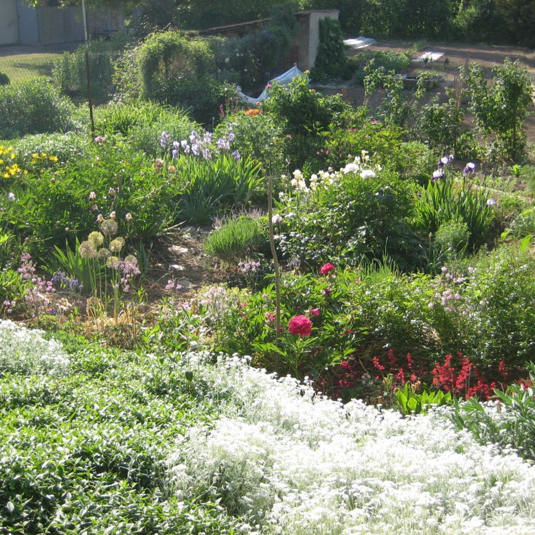 Garten in Alzey-Dautenheim