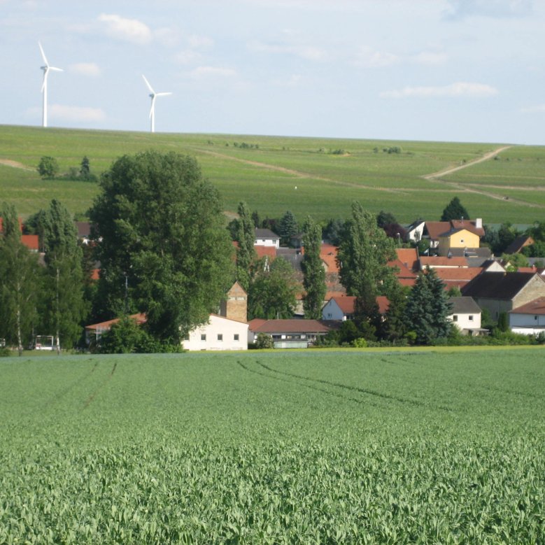 Blick auf Alzey-Dautenheim