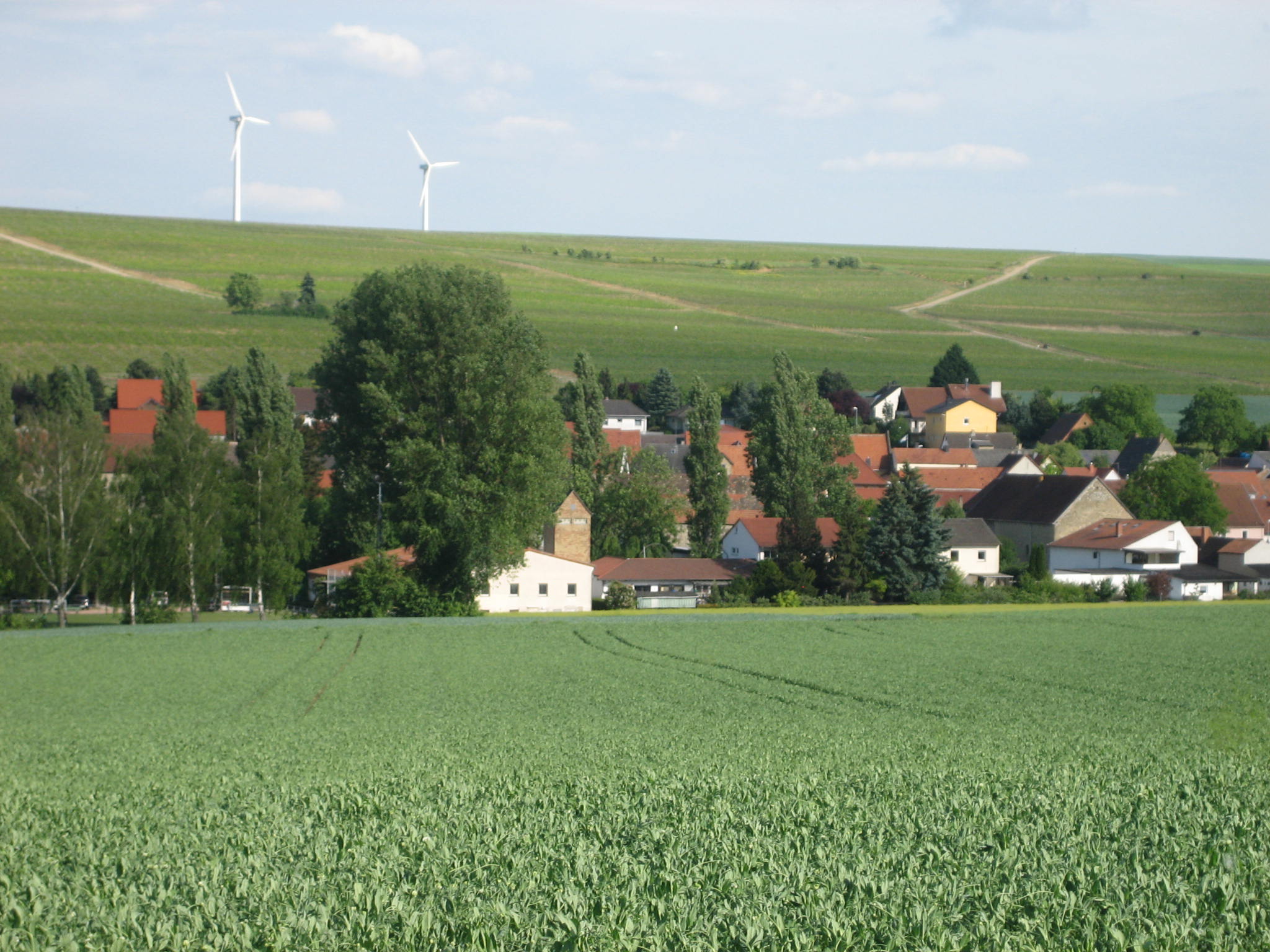 Blick auf den Ortskern und den Himmelacker Blick auf Alzey-Dautenheim