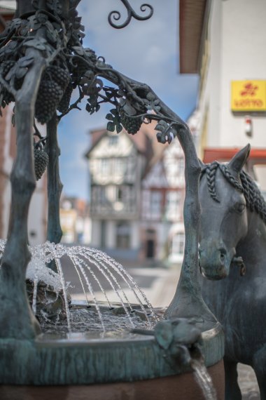 Brunnen am Rossmarkt