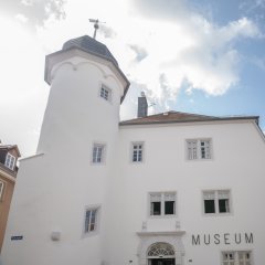 Das Alzeyer Museum