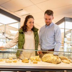 Besucher im Alzeyer Museum, die sich Ausstellungen anschauen.