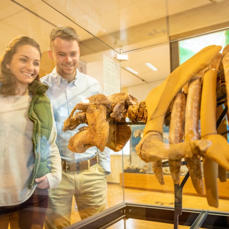 Besucher im Alzeyer Museum, die sich Knochen und Ausstellungen anschauen.