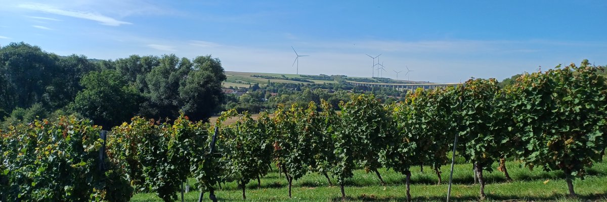 Partnerschaftsbegegnung Harpenden