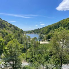 außen im Bild sind viele Bäume, fast schon ganze Wälder abgebildet, inmitten ein See