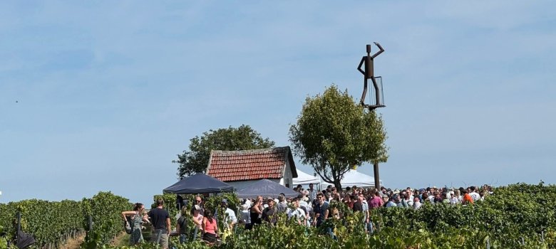 Weinbergshäuschenwanderung
