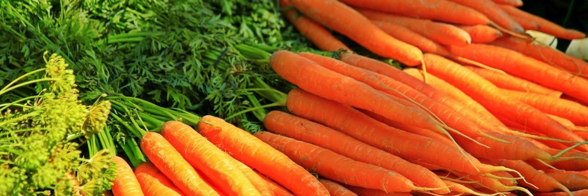 Alzeyer Wochenmarkt Mehrere Bund Karotten