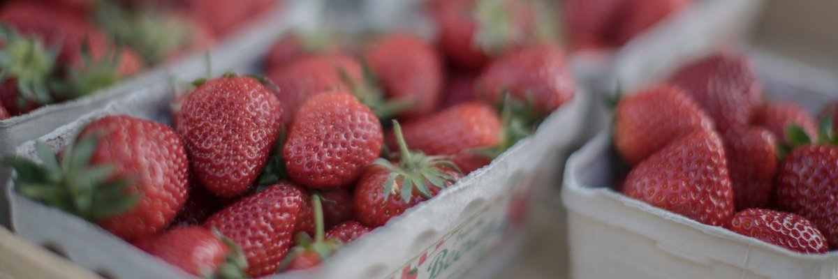 5 Pappboxen mit Erdbeeren.