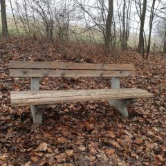 Holzbank