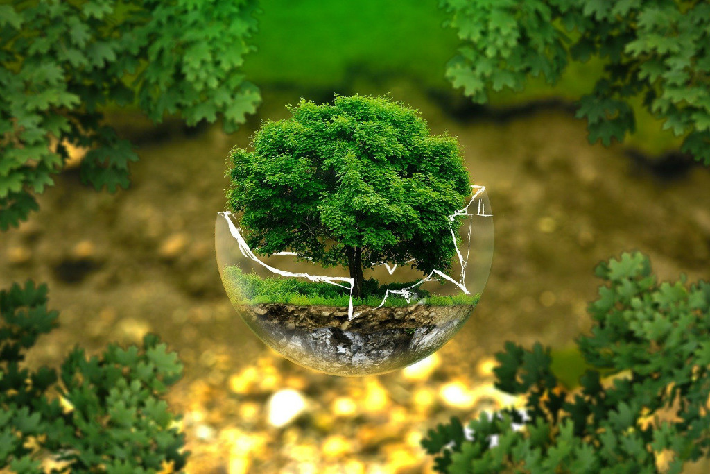 Baum in einer Glaskugel