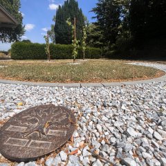 Bestattung unter Weinreben in Dautenheim