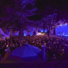 Publikum auf einem Konzert
