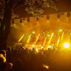 Publikum auf einem Konzert