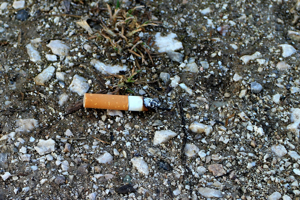 Eine Zigarettenkippe liegt auf der Straße