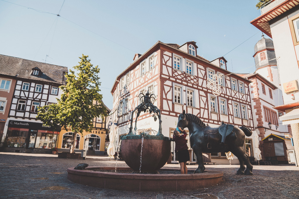 Am Roßmarktbrunnen mit Stadtmaskottchen Pferd Max steht eine Frau. Im Hintergrund sind die historischen Fachwerkhäuser zu sehen.