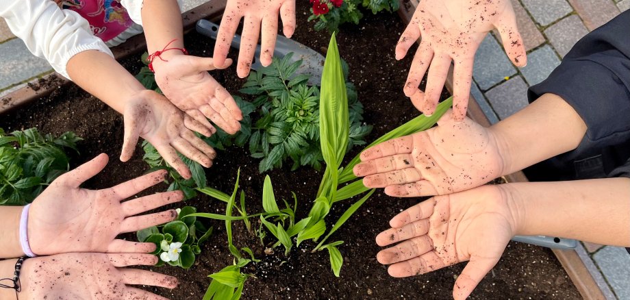 Vier Kinder strecken ihre Hände nach oben, an denen Blumenerde klebt.