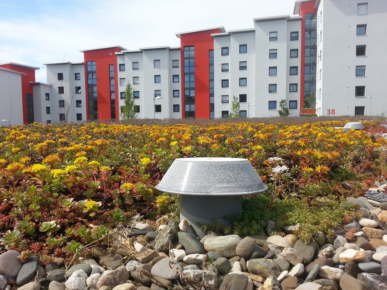 Auf einem Hausdach blühen viele verschiedene Blumen und Pflanzen.