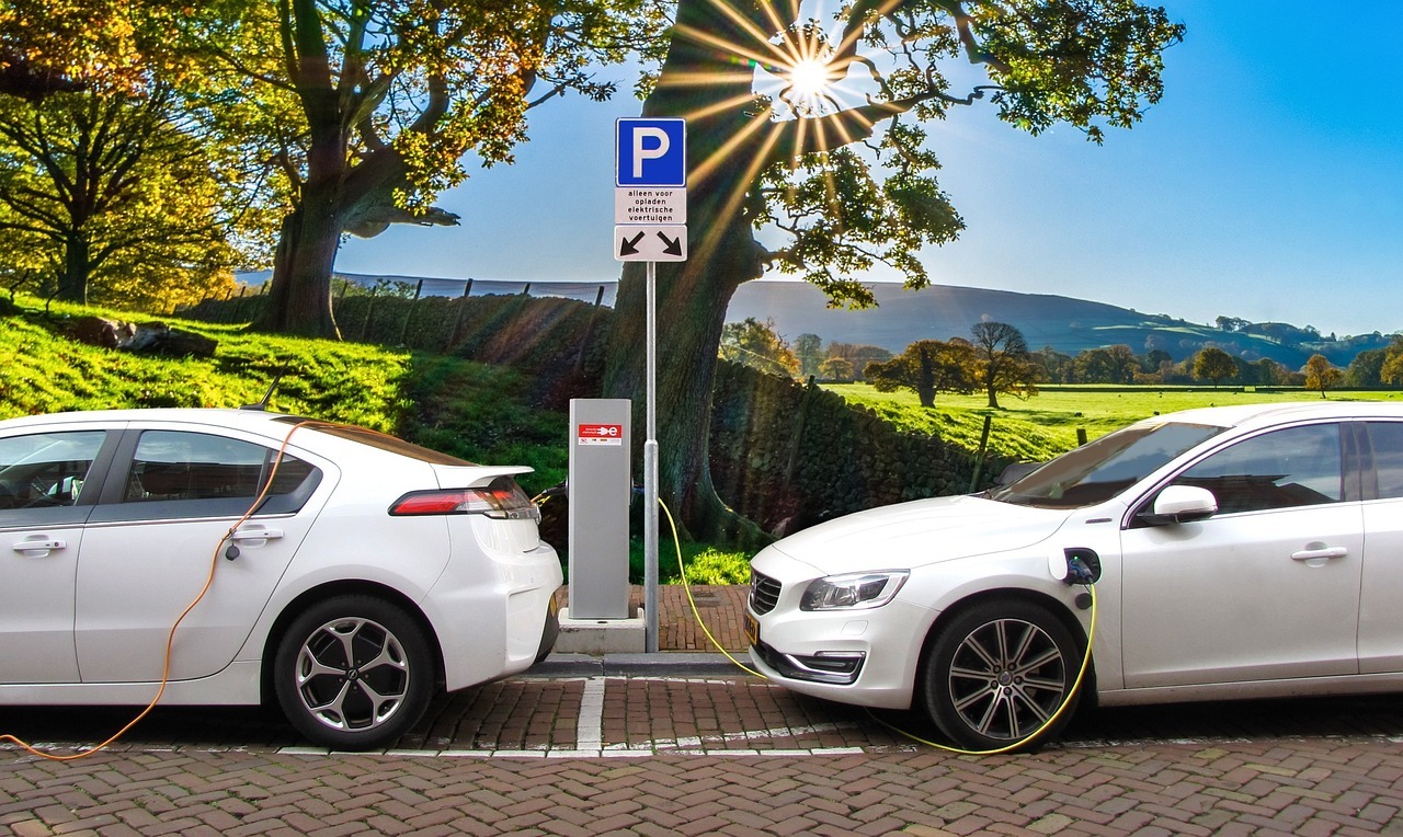 Zwei Elektroautos stehen an einer Ladesäule. Die Sonne scheint durch die Bäume.