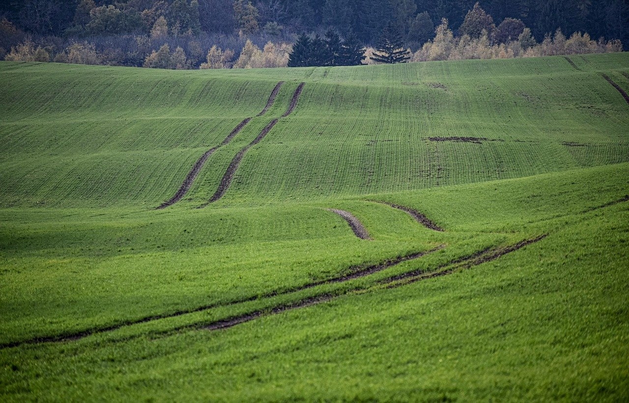 Ein großes Feld