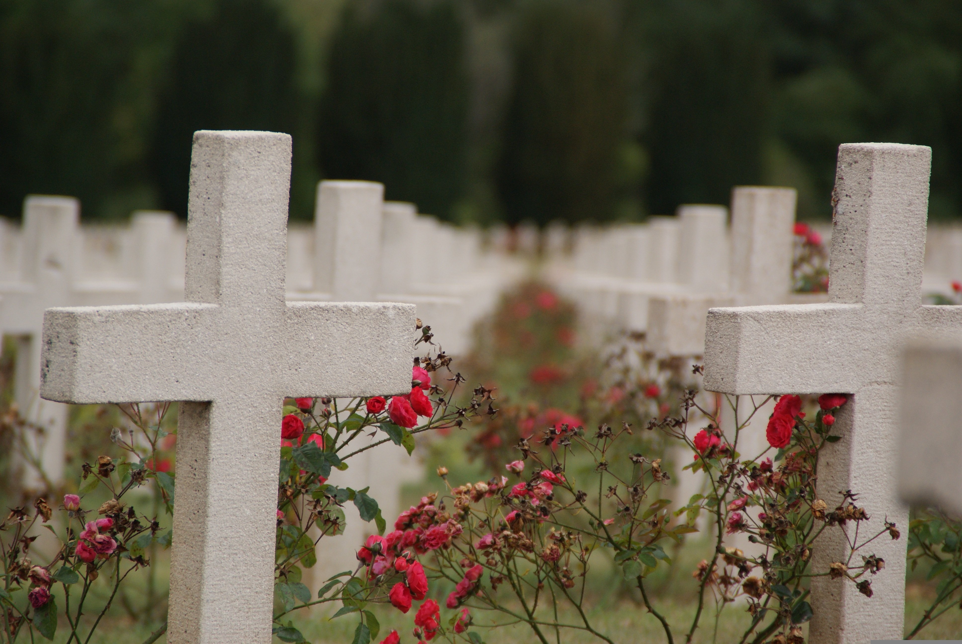 Weiße Kreuze aus Stein, manche mit Blumen geschmückt