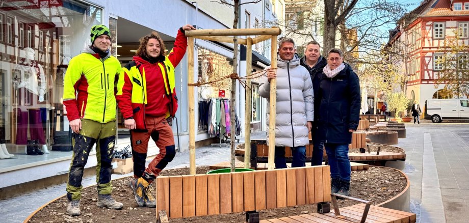 Amberbaum für die neue Spiessgasse Firma Baumpflege Basch spendet Baum für Innenstadt. Zu Sehen ist der Amberbaum, Firma Basch, Bürgermeister Steffen Jung und Markus Krebs vom Stadtmarketing in der neuen Spießgasse.