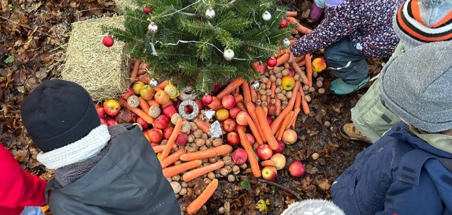 Eine Tradition die Wächst Kita "Haus der Klänge" feiert Waldweihnacht. (Einige Kinder im Wald stehen um einen kleinen Weihnachtsbaum unter dem Nüsse, Karrotten, Äpfel und etwas Stroh liegen)