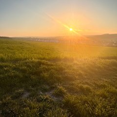 Luftbild am Steinmannsrech vor dem Bau eines neues Wohnquartiers am Hang.