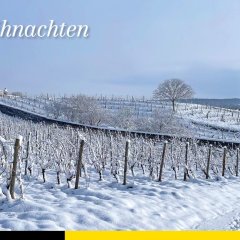 Links Oben im Bild steht Frohe Weihnachten und darunter ist eine verschneite Landschaft der Weinberge zu sehen.
