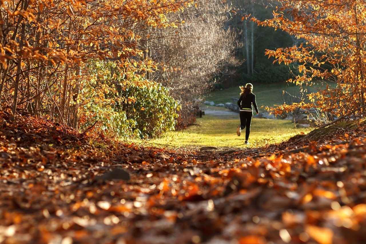eine Frau joggt bei herbstlichem Wetter im Wald voller brauner Blätter