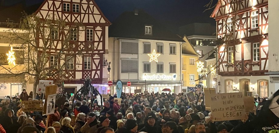 Demonstartion Alzey