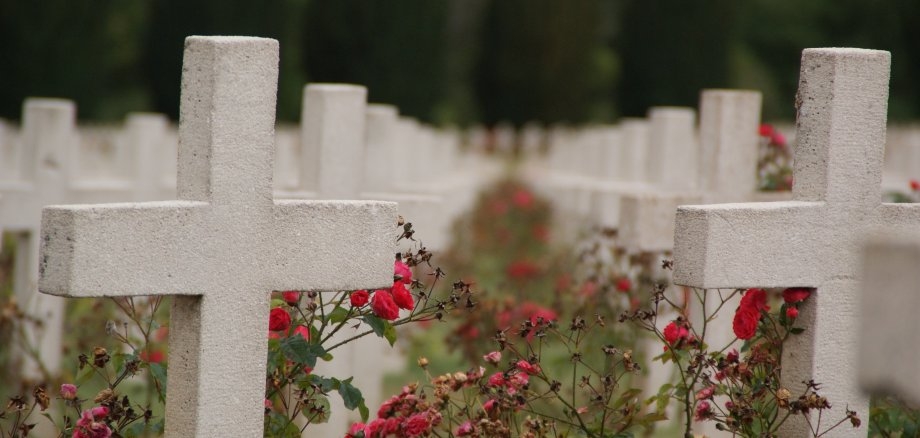 Grabsteine, als Kreuz, mit roten Rosen drum herum.